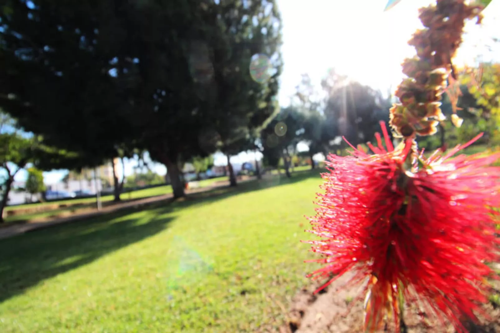 Appartements à Canet d'En Berenguer-Niet-getagd