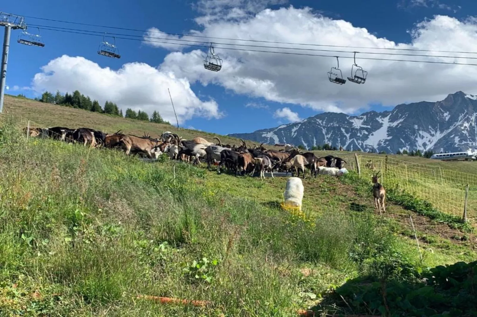 Chalets Les Amis 5-Gebieden zomer 20km