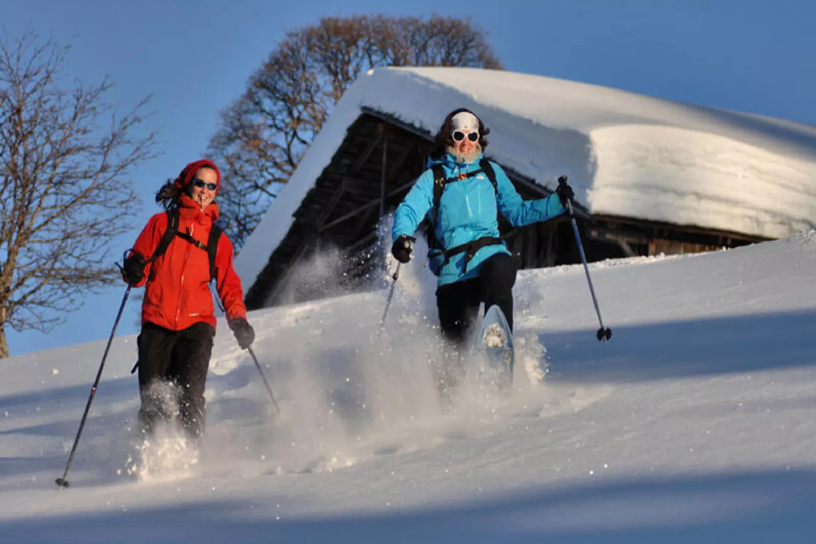 Résidence Les Adrelles