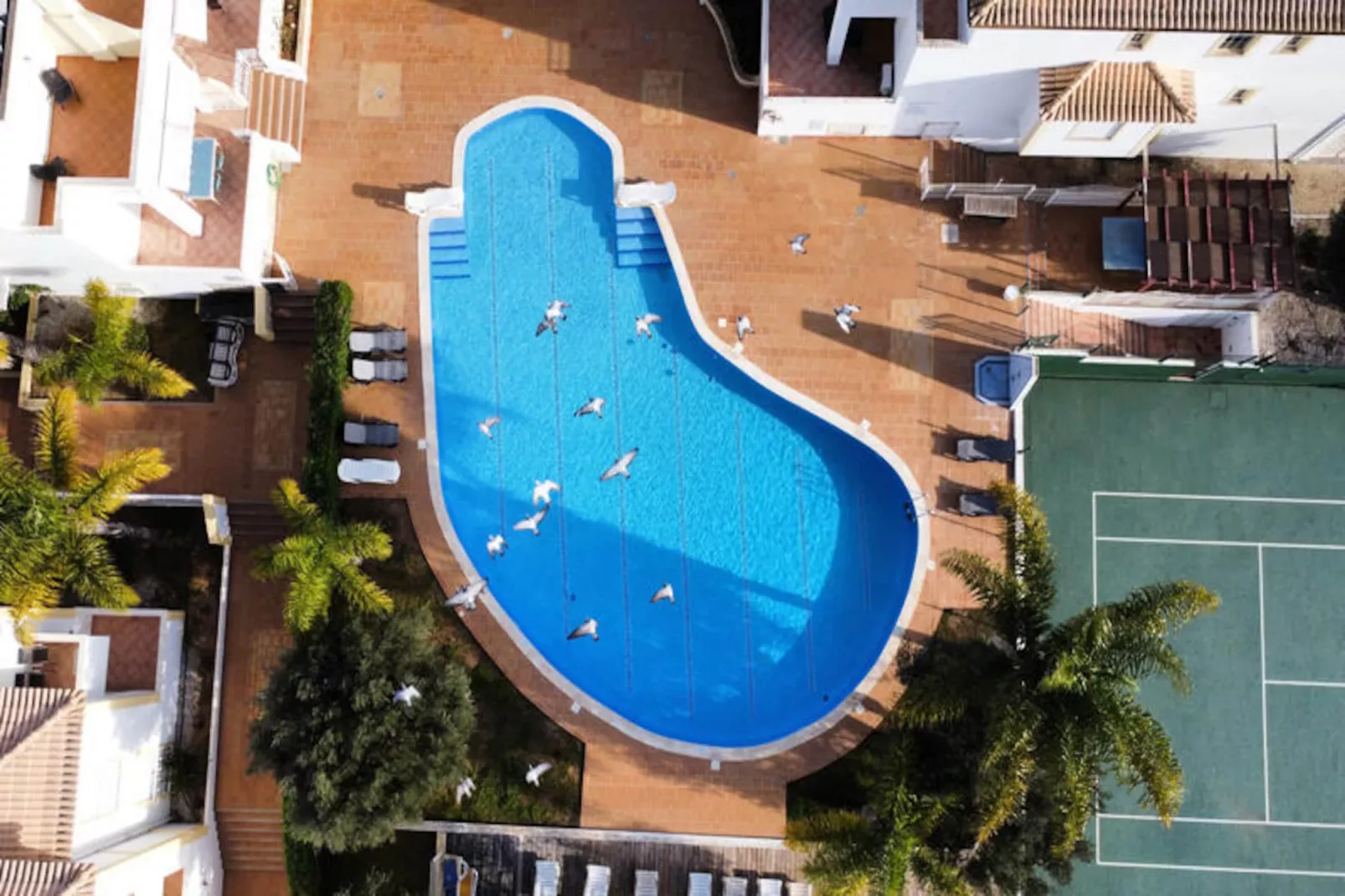 Appartements à Albufeira