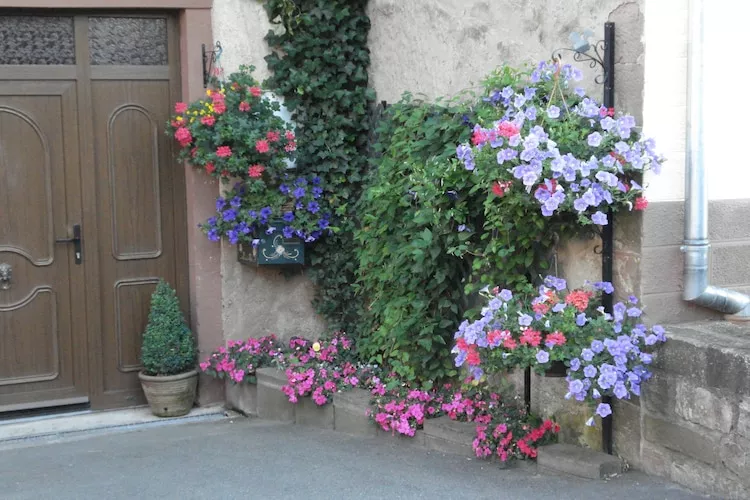 Le Gîte Fleuri