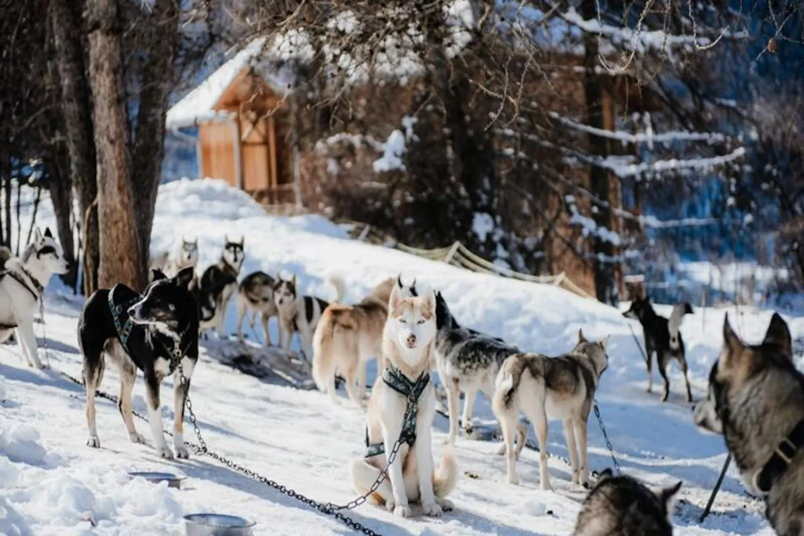 Résidence Les Logis d'Orres ***