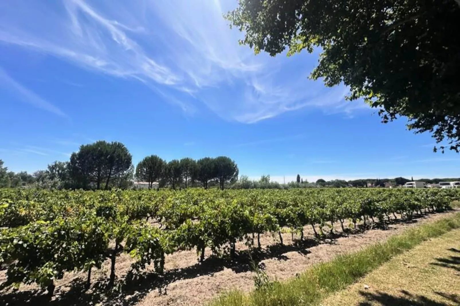 Résidence G&icirc;te Du Mas - Charmant G&icirc;te Proven&ccedil;al Avec Jardin Commun