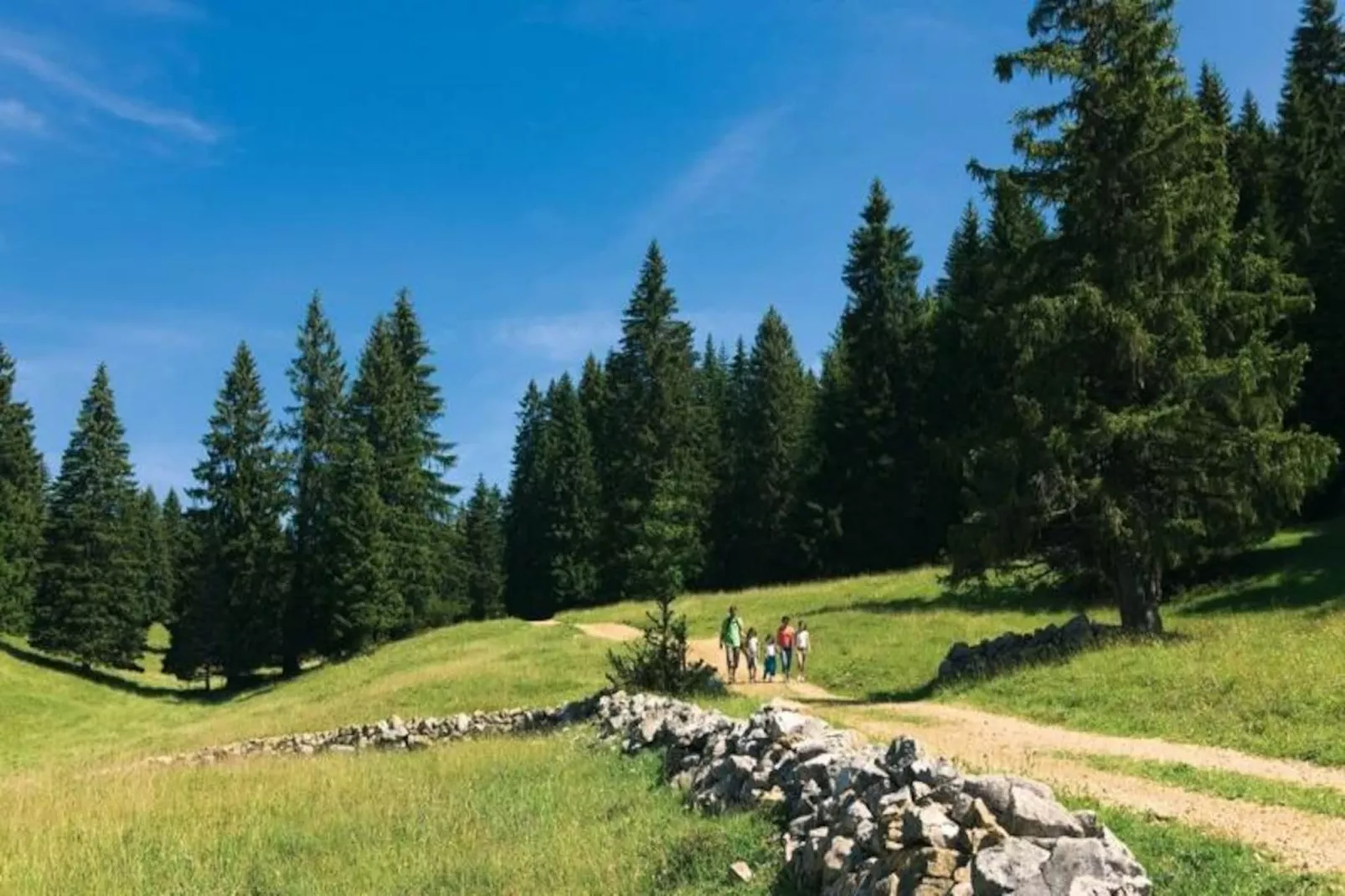 Village Vacances Bois d'Amont ***