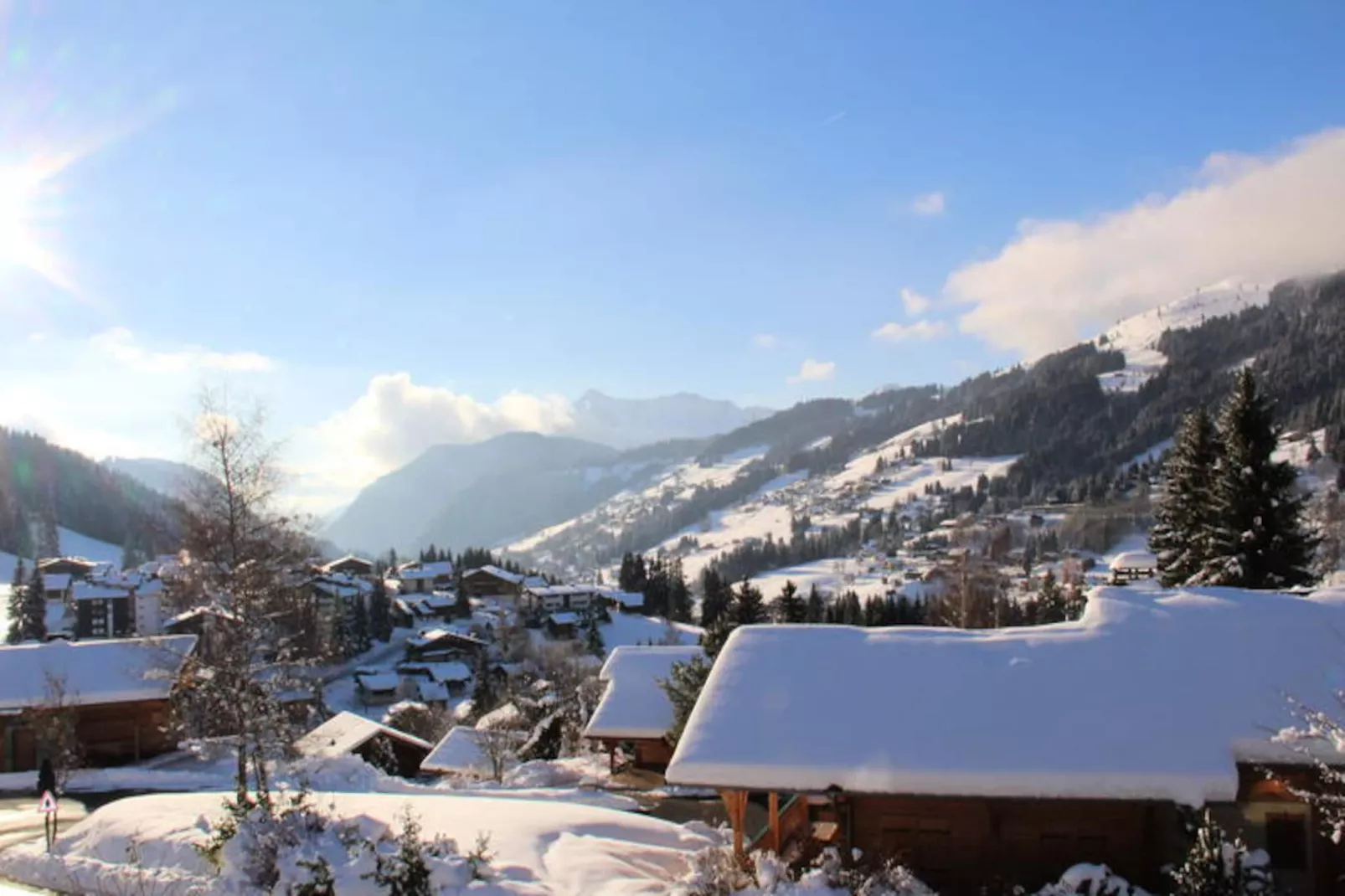 Chalet Les Sauvageons