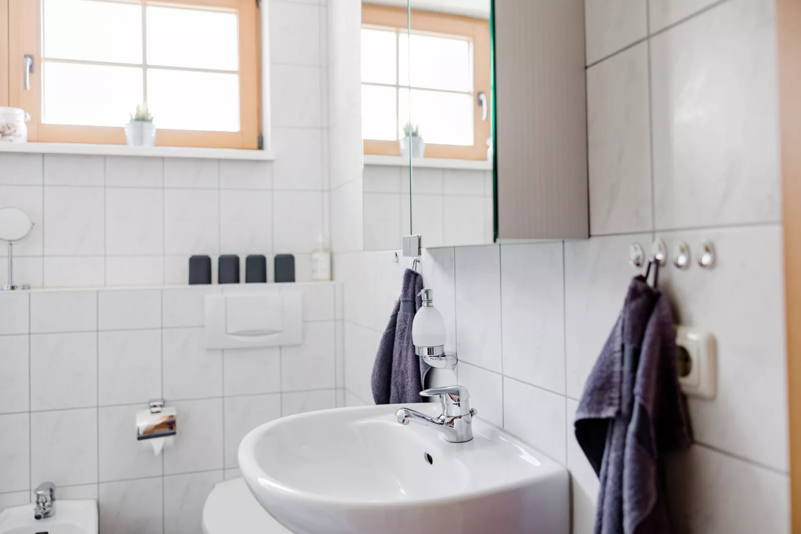 Ferienhaus Im Gutshofpark mit Sauna-Badkamer