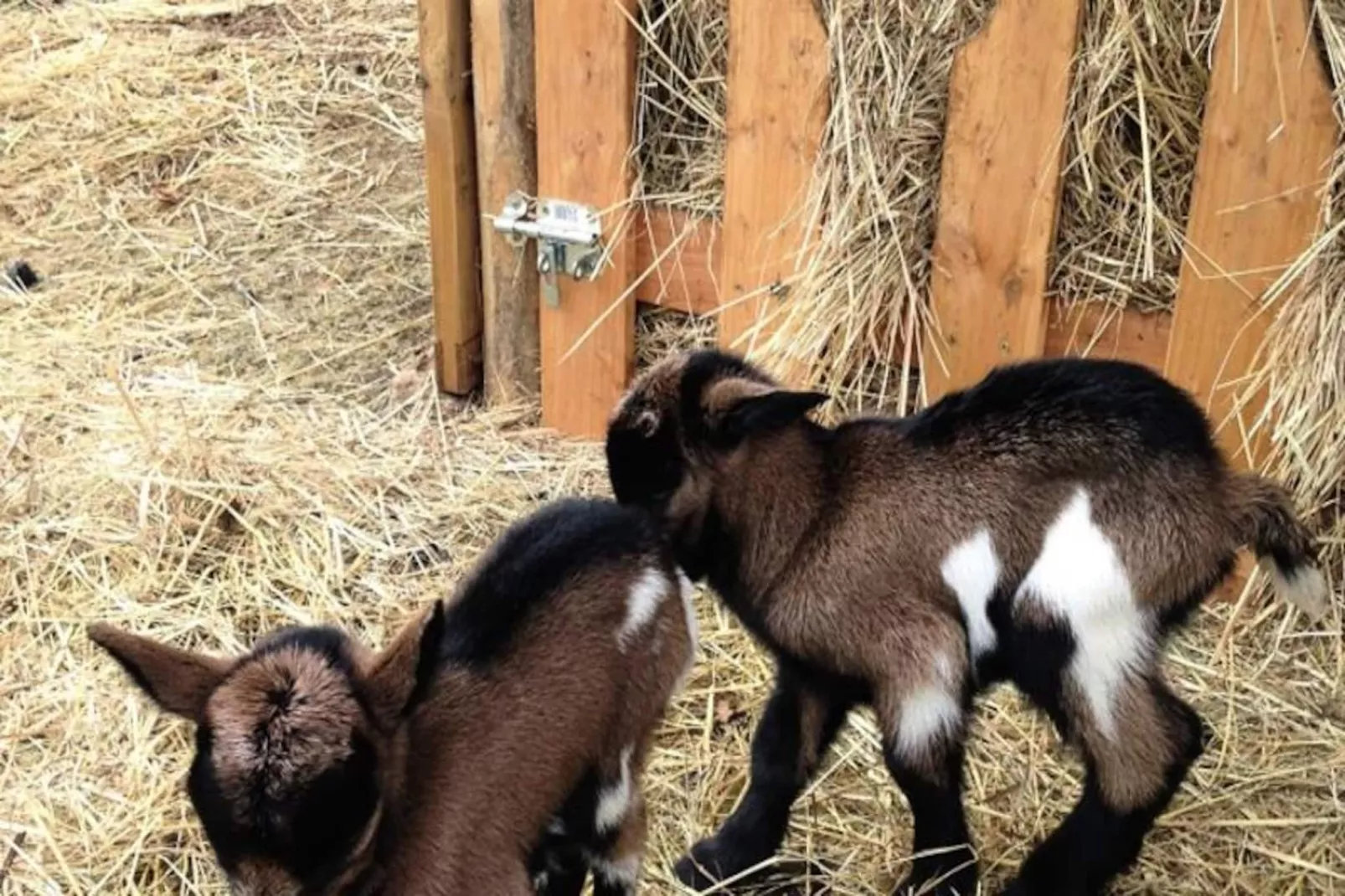 Domaine des Bories ****