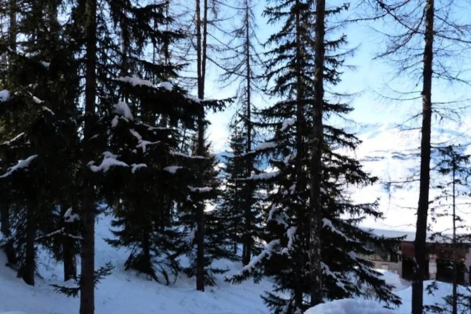 Résidence Aiguille Grive Bat Iii