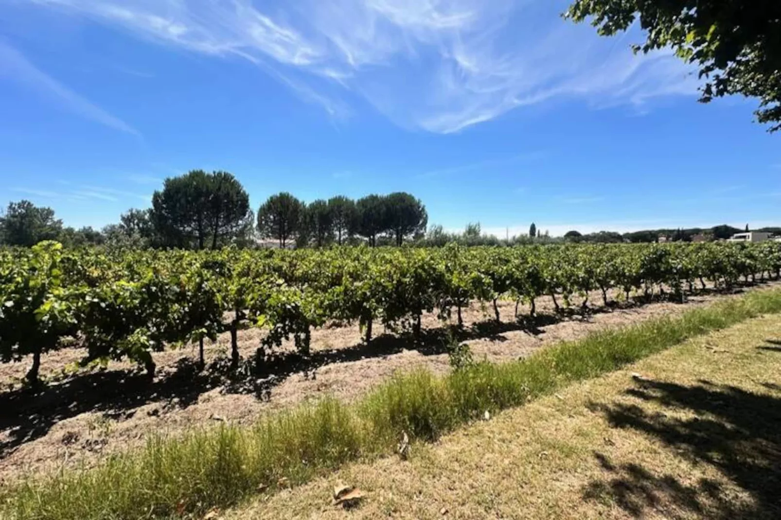 Résidence G&icirc;te De La Cave - Charmant G&icirc;te Proven&ccedil;al Avec Une Chambre-Niet-getagd