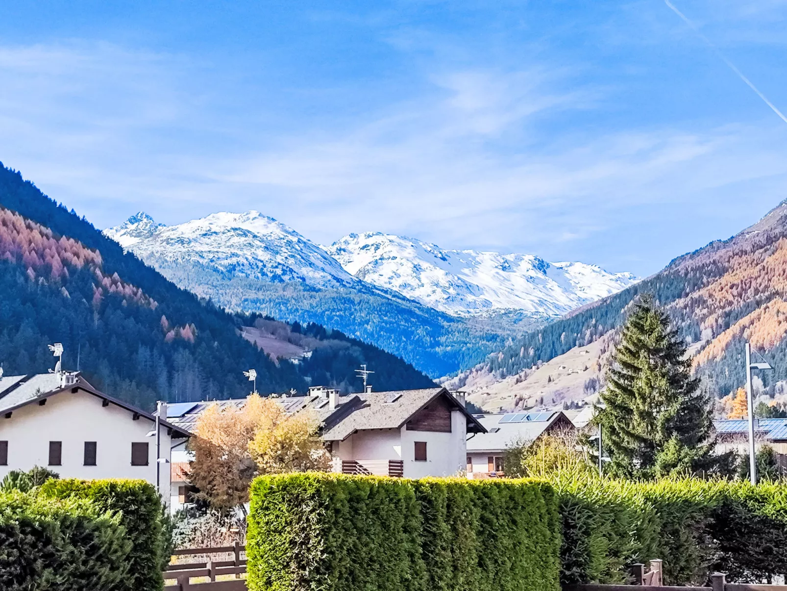 The Silent Sylva-Buiten