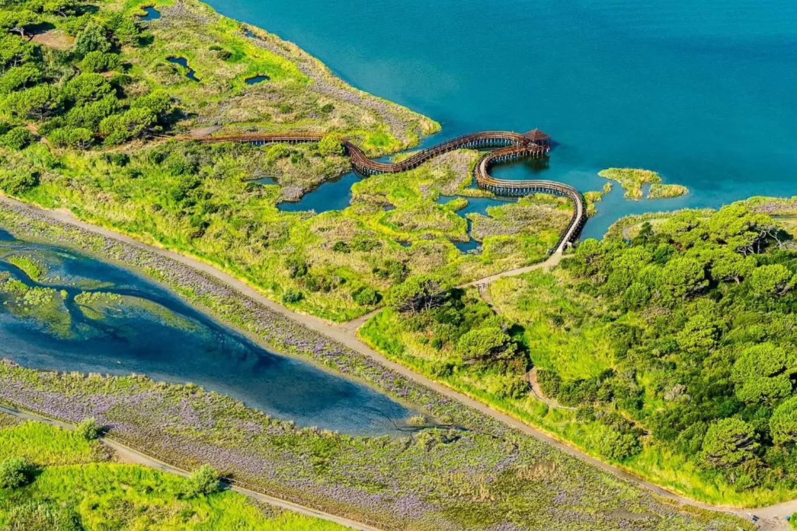 Rasi 1-Gebieden zomer 5km