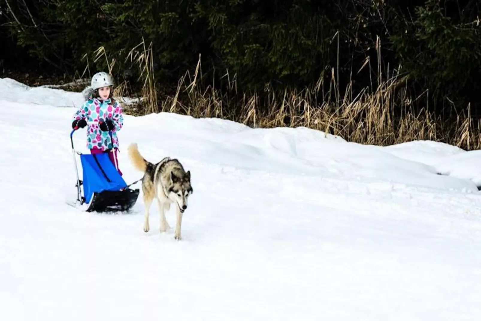 Résidence La Beguette-Niet-getagd