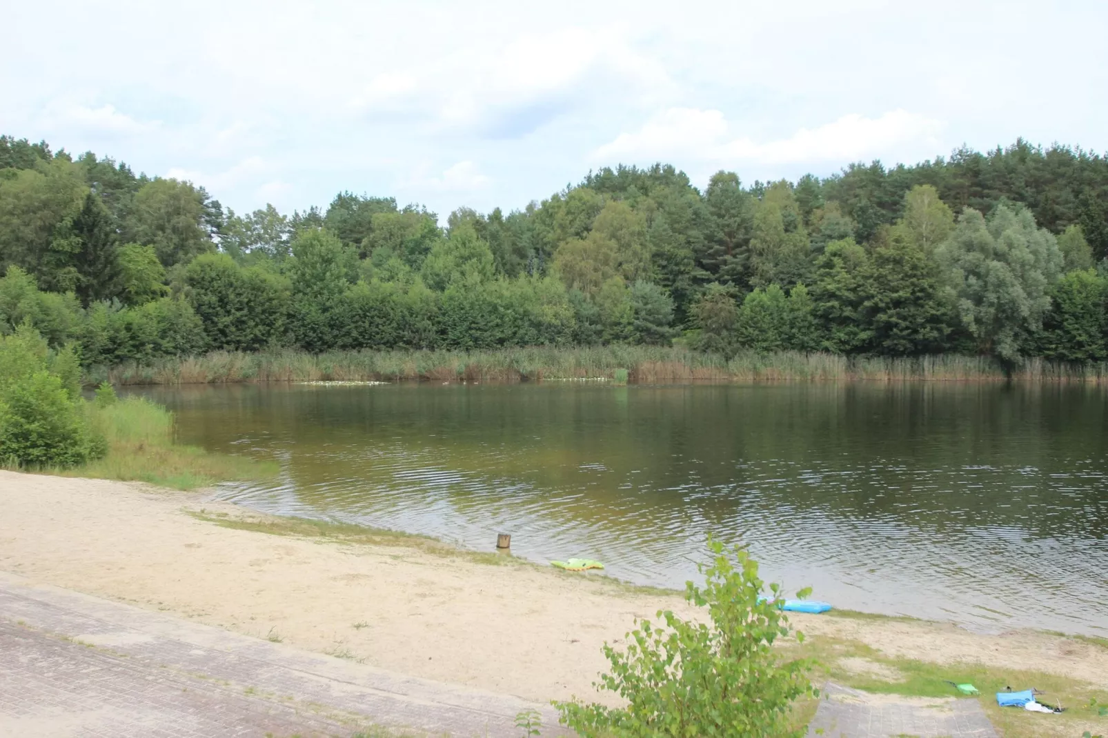 areasummer1km
