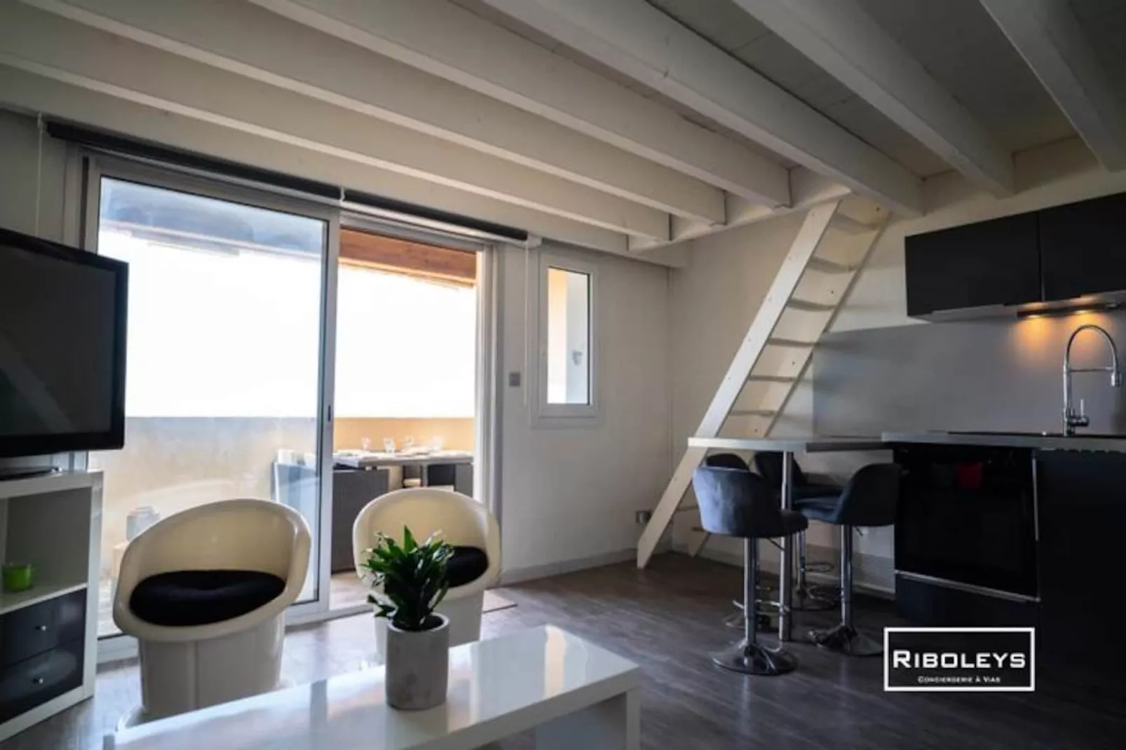 Vias-plage - Appartement Climatis&eacute; Avec Piscine Face &agrave; La Mer-Niet-getagd