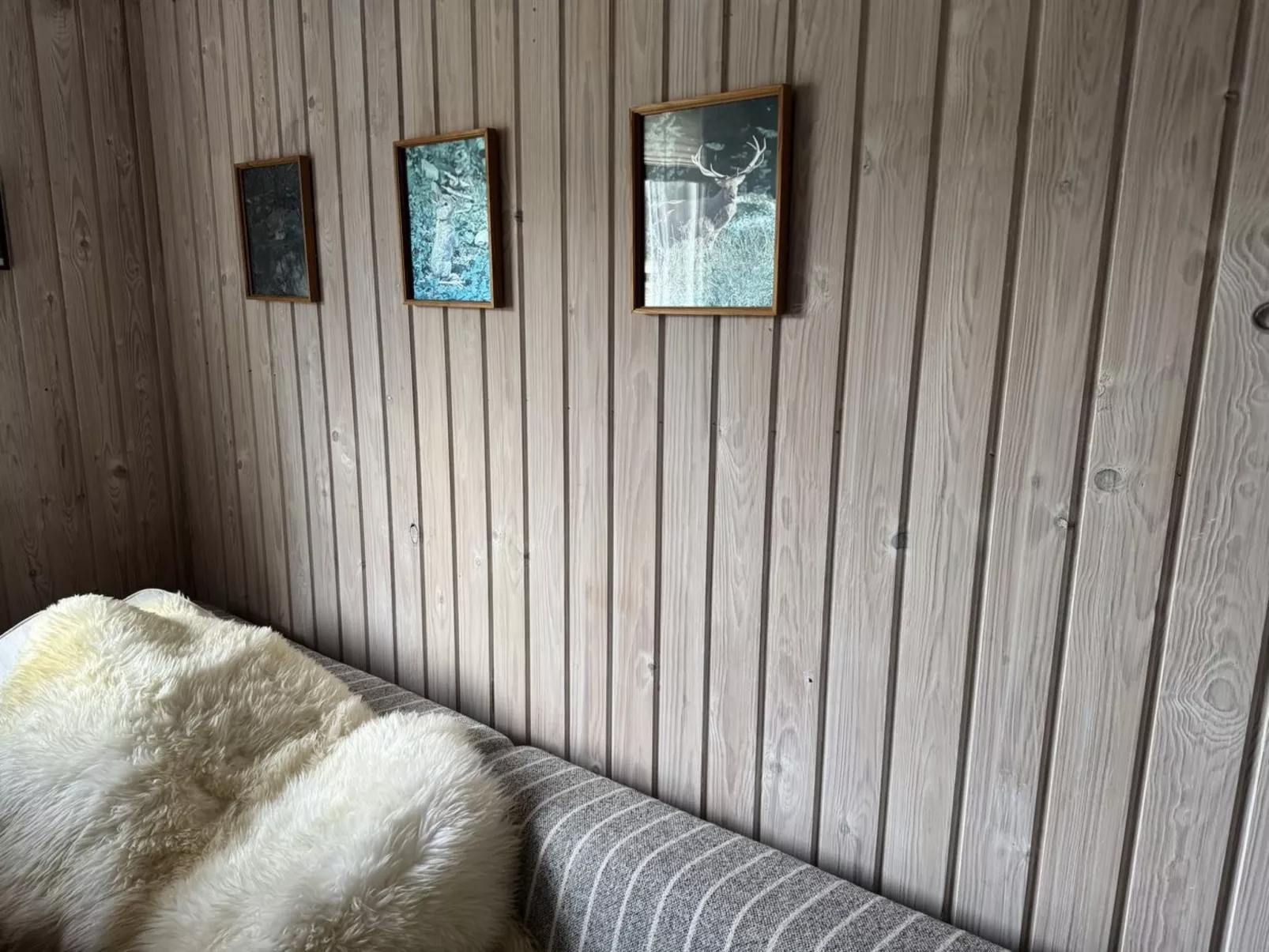 "Kalle" -  from the sea-Binnen