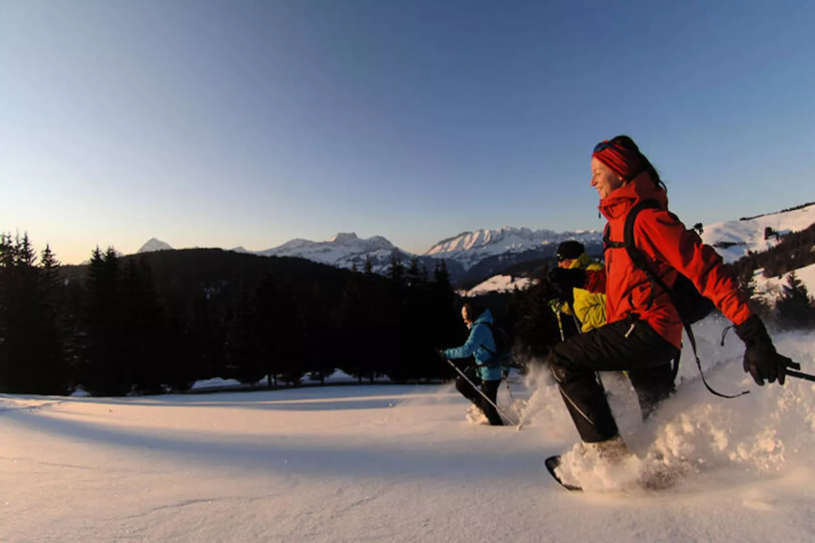 Chalet Le Buset-Niet-getagd