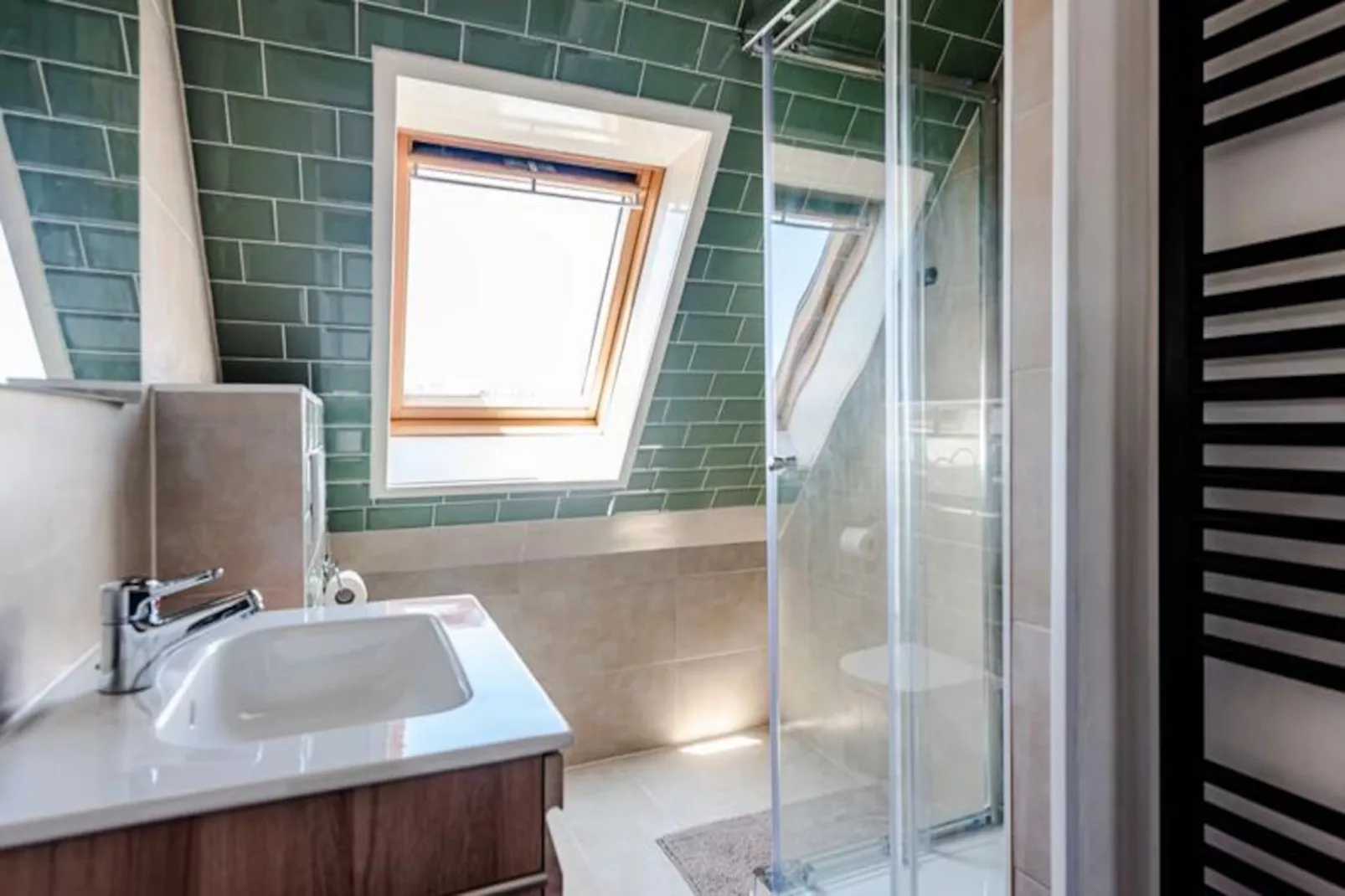 Albatros Aan Zee - Studio-Niet-getagd