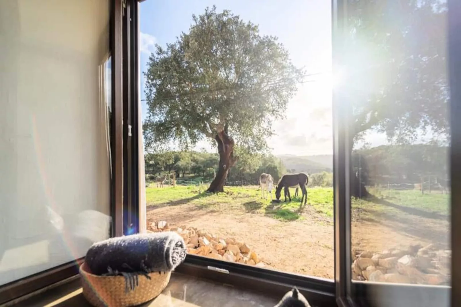 Casinha Da Paz-Niet-getagd