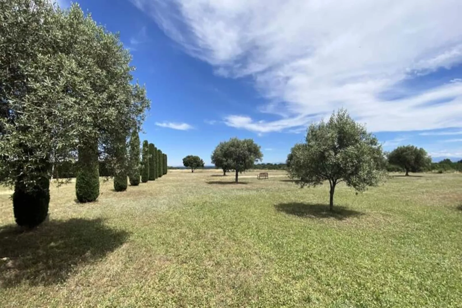 Magnifique Appartement Au C&oelig;ur Des Champs De Lavande - 6 - 7 Personnes-Niet-getagd