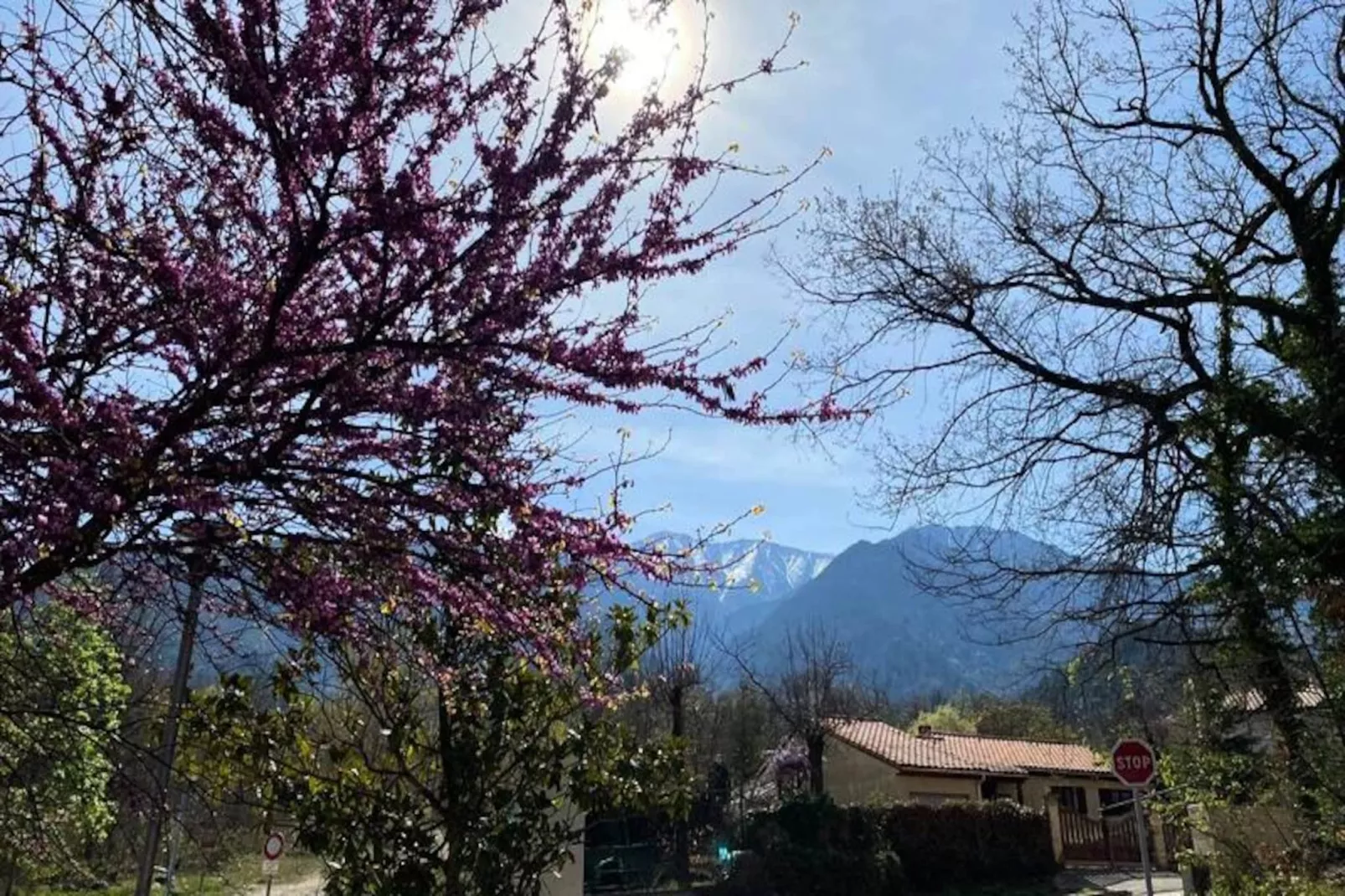 Résidence Balcon Du Canigou-Niet-getagd