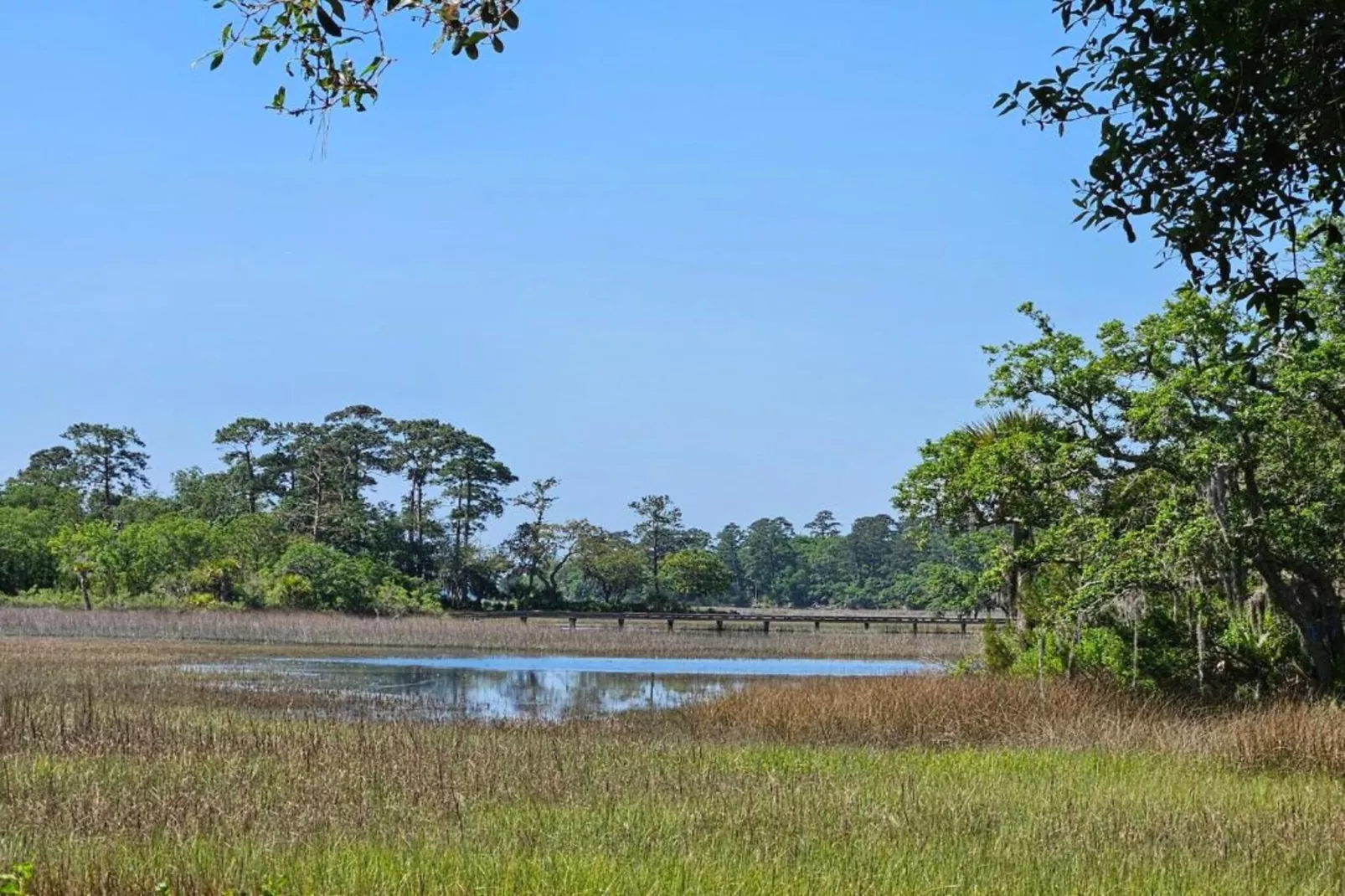 Résidence La Clé des Cimes 4-S8-Gebieden zomer 20km