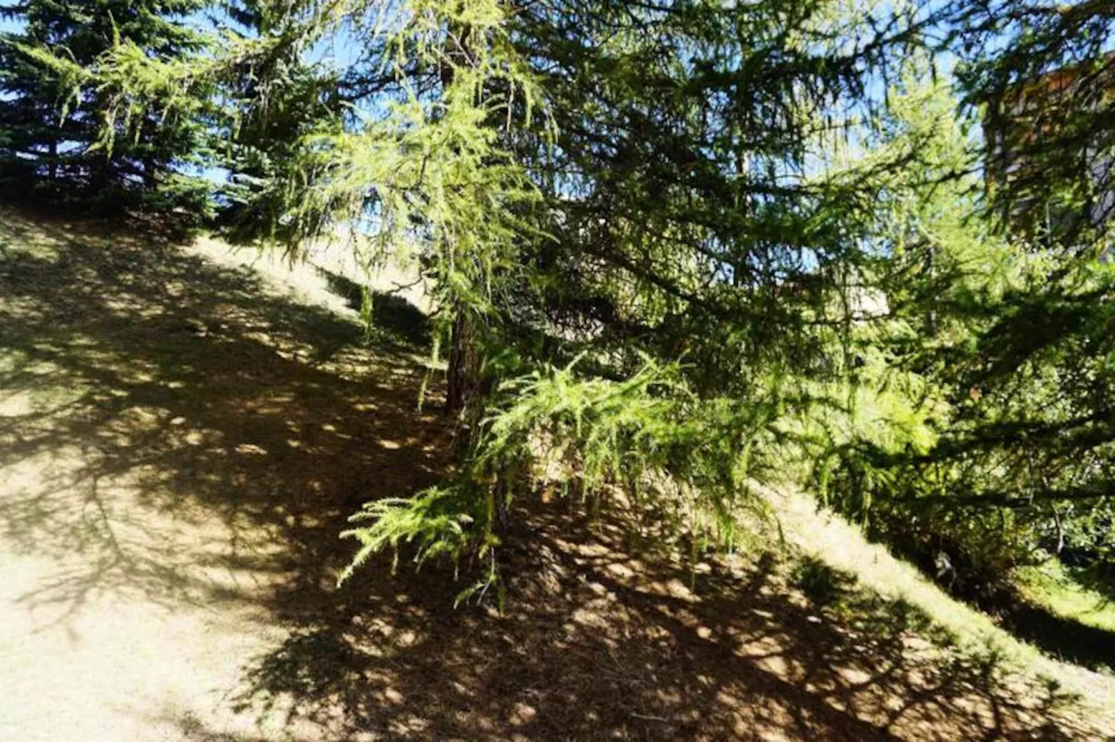 Résidence Rond Point I-Niet-getagd