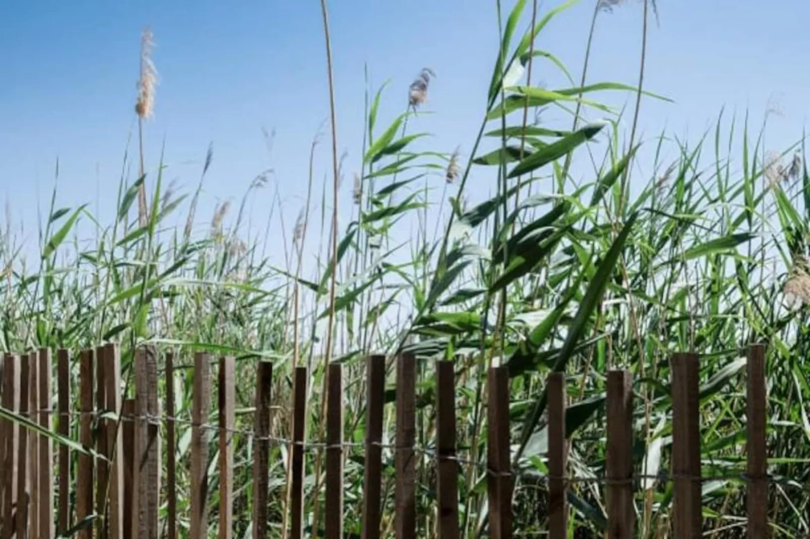 Résidence La Perle Rose Villa Standing 5 &eacute;toiles Avec Piscine Jacuzzi Et Superbe Vue-Niet-getagd