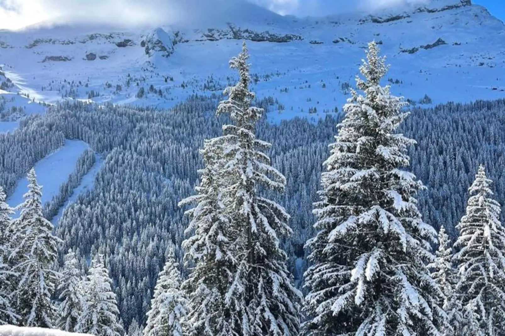 Résidence Iris-Niet-getagd