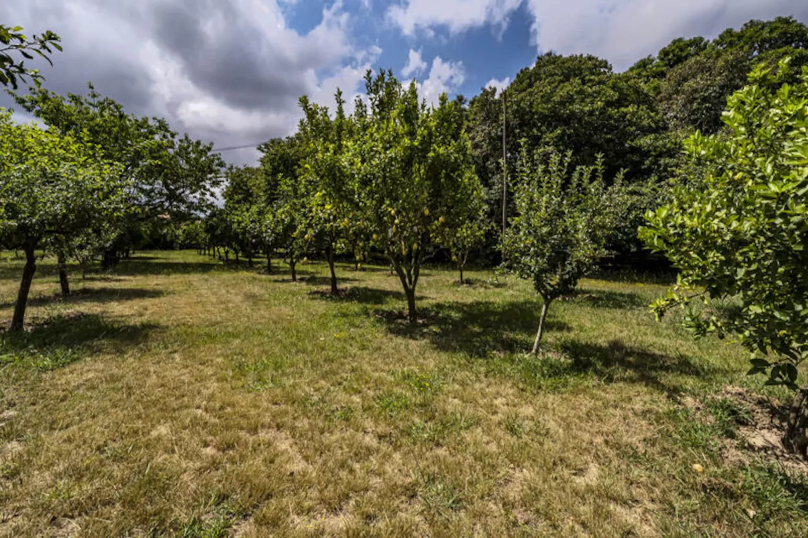 Maison à Santa Maria da Feira-Niet-getagd