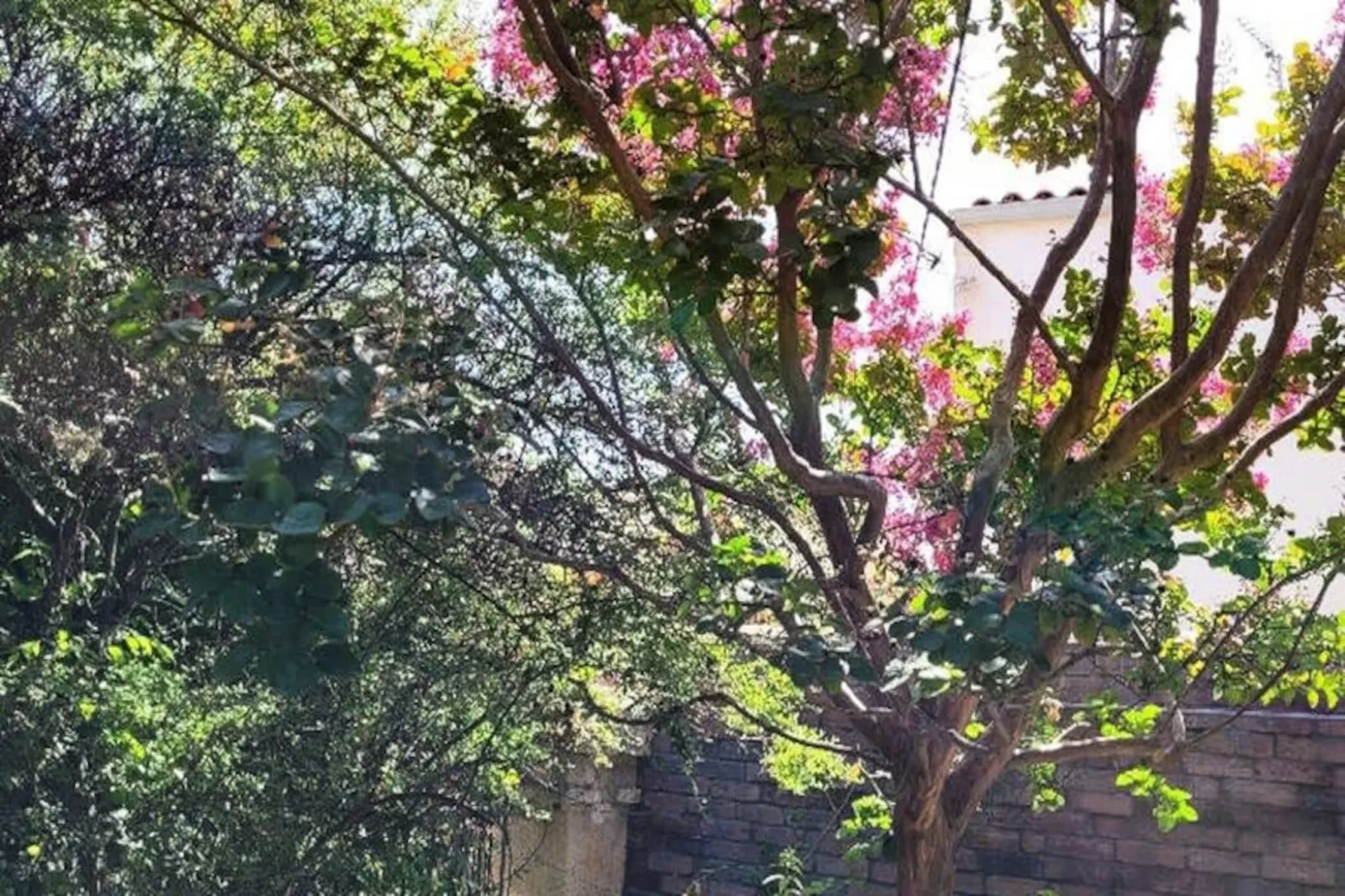 Maison à La Rochelle-Niet-getagd