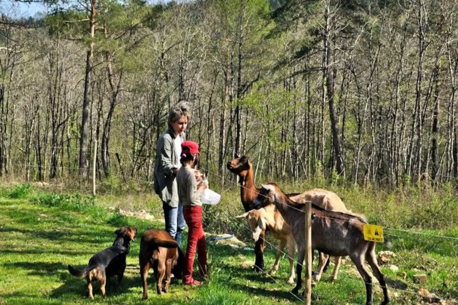 Domaine des Bories ****-Niet-getagd