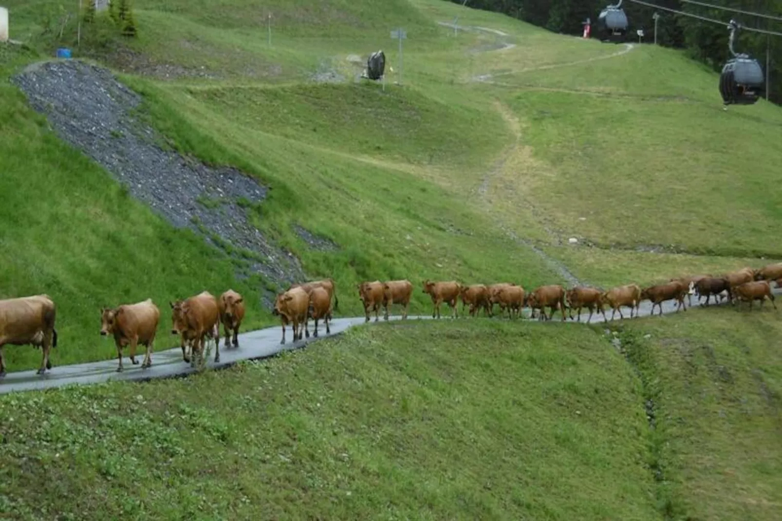 Résidence Pierrafort G-Niet-getagd