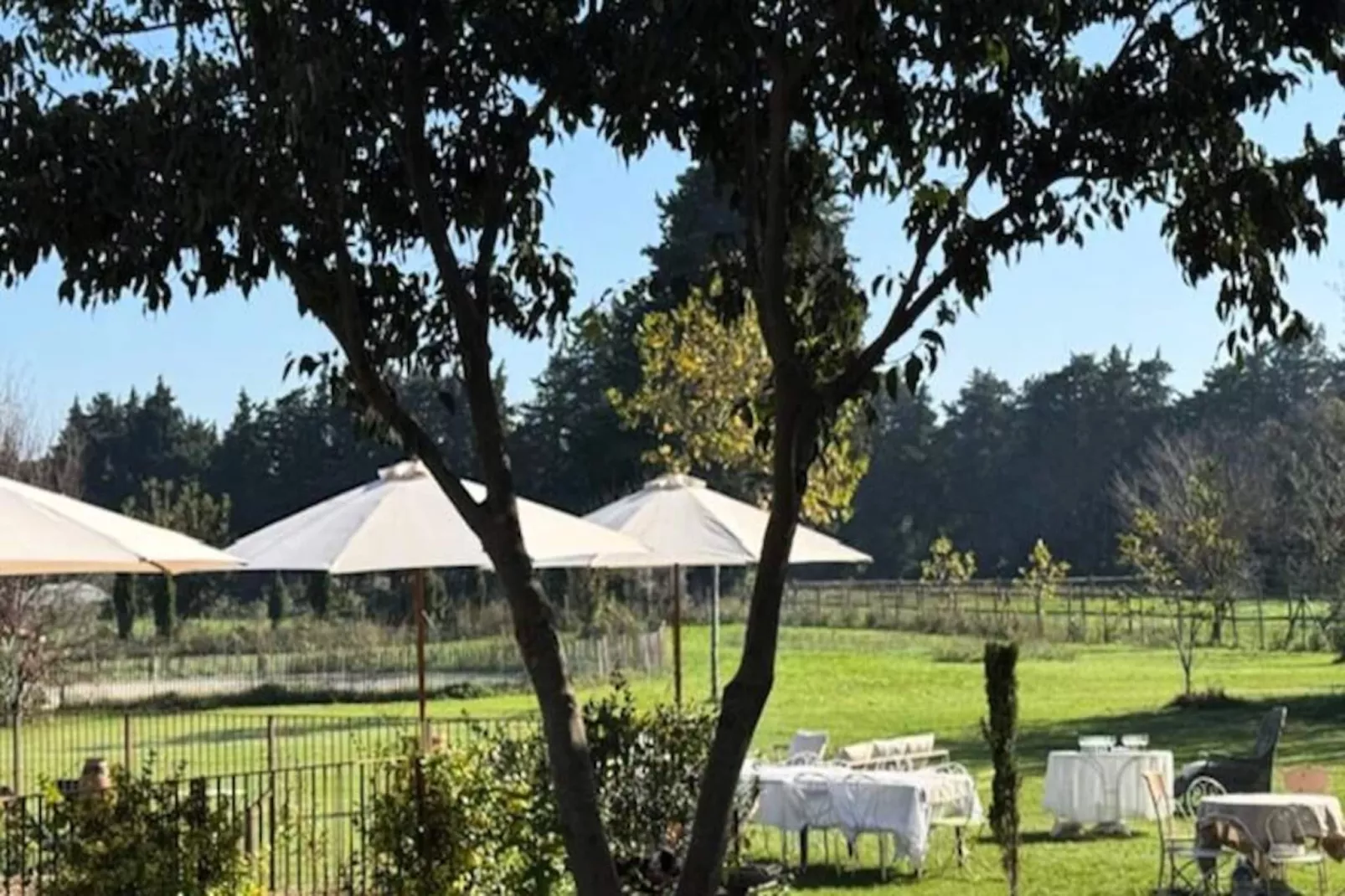 Magnifique Maison Bourgeoise R&eacute;nov&eacute;e Avec &eacute;l&eacute;gance Et Style Art D&eacute;co-Niet-getagd