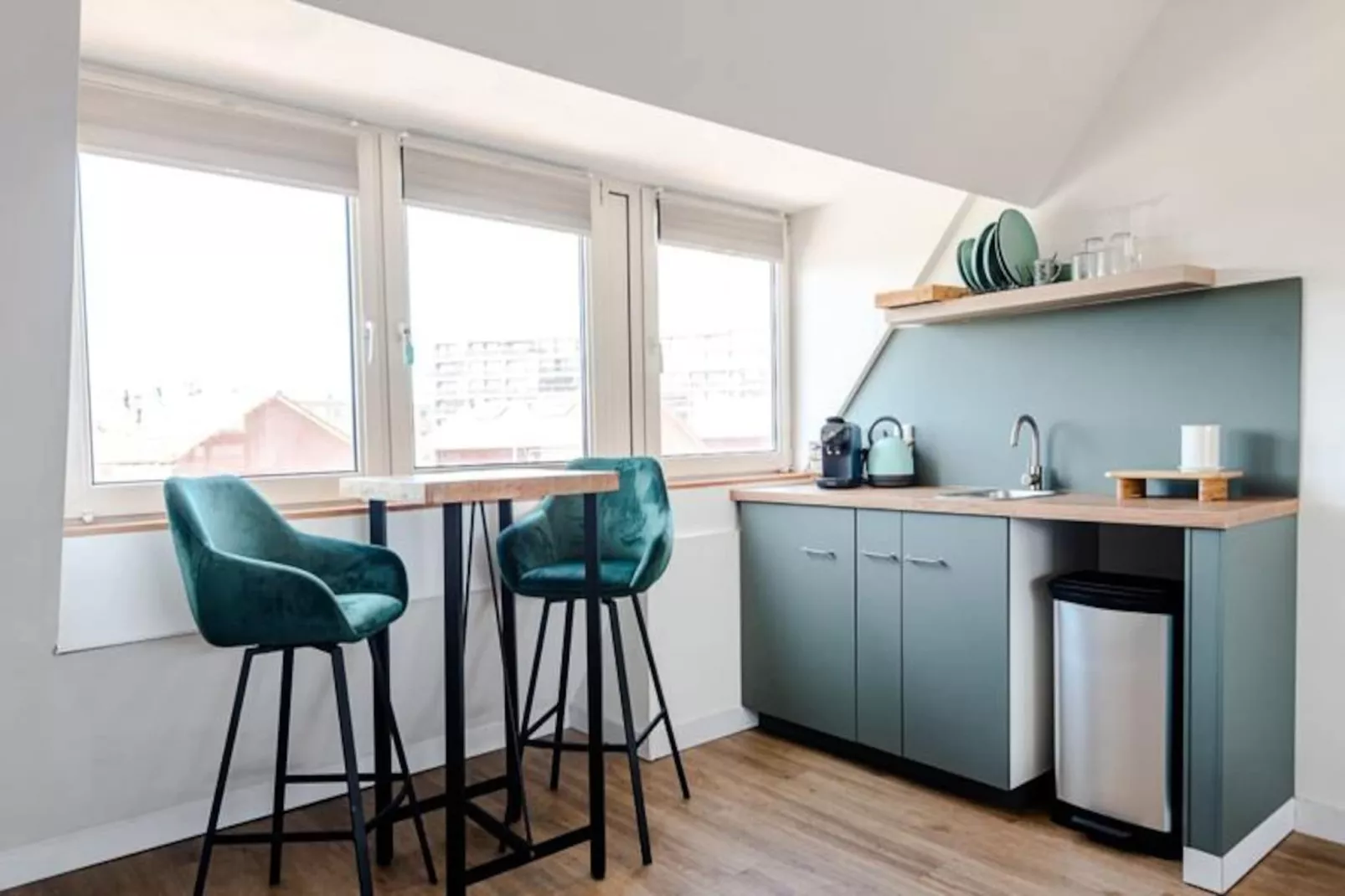 Albatros Aan Zee - Studio-Niet-getagd