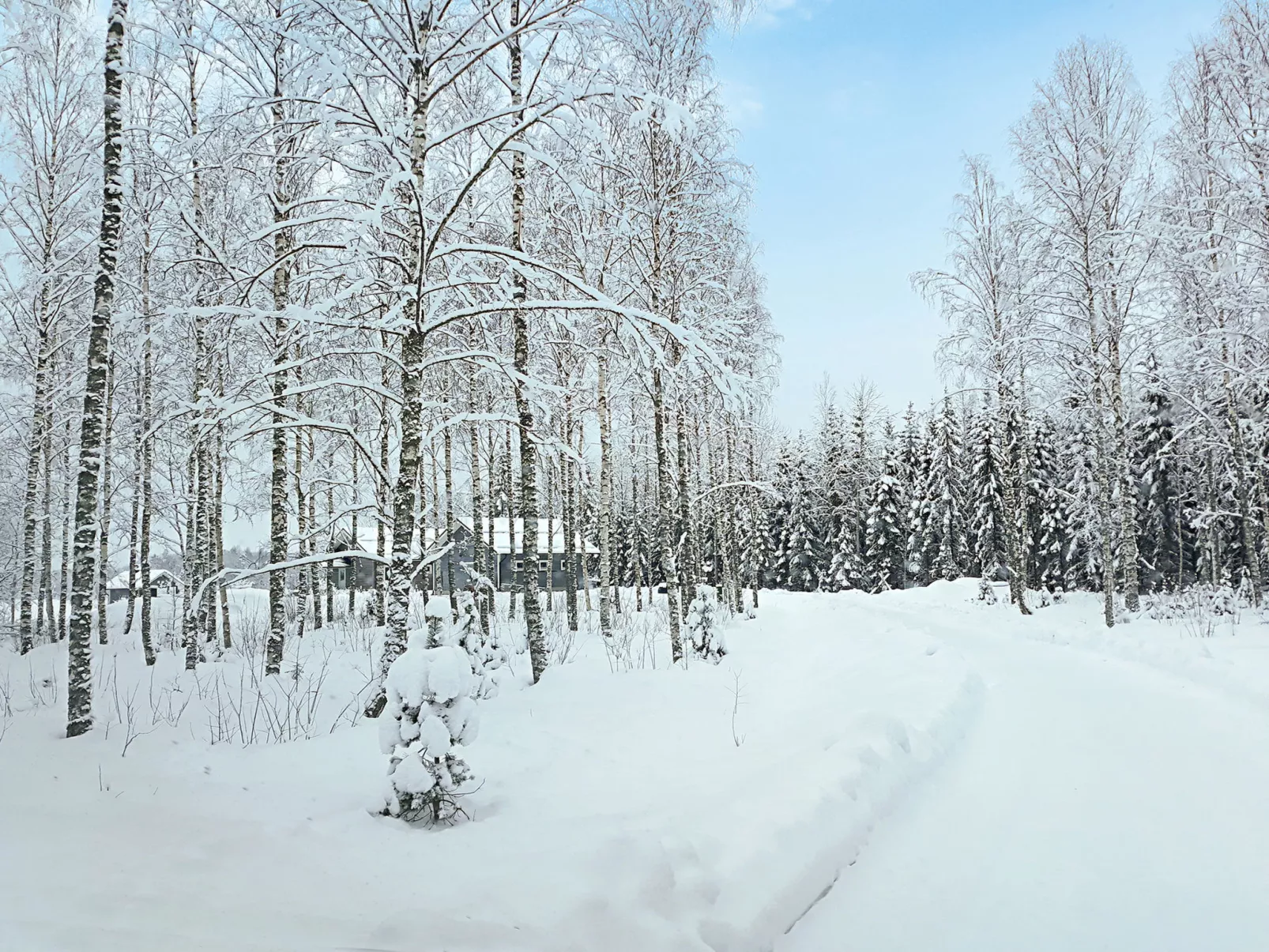 Villa paasirinne a-Binnen