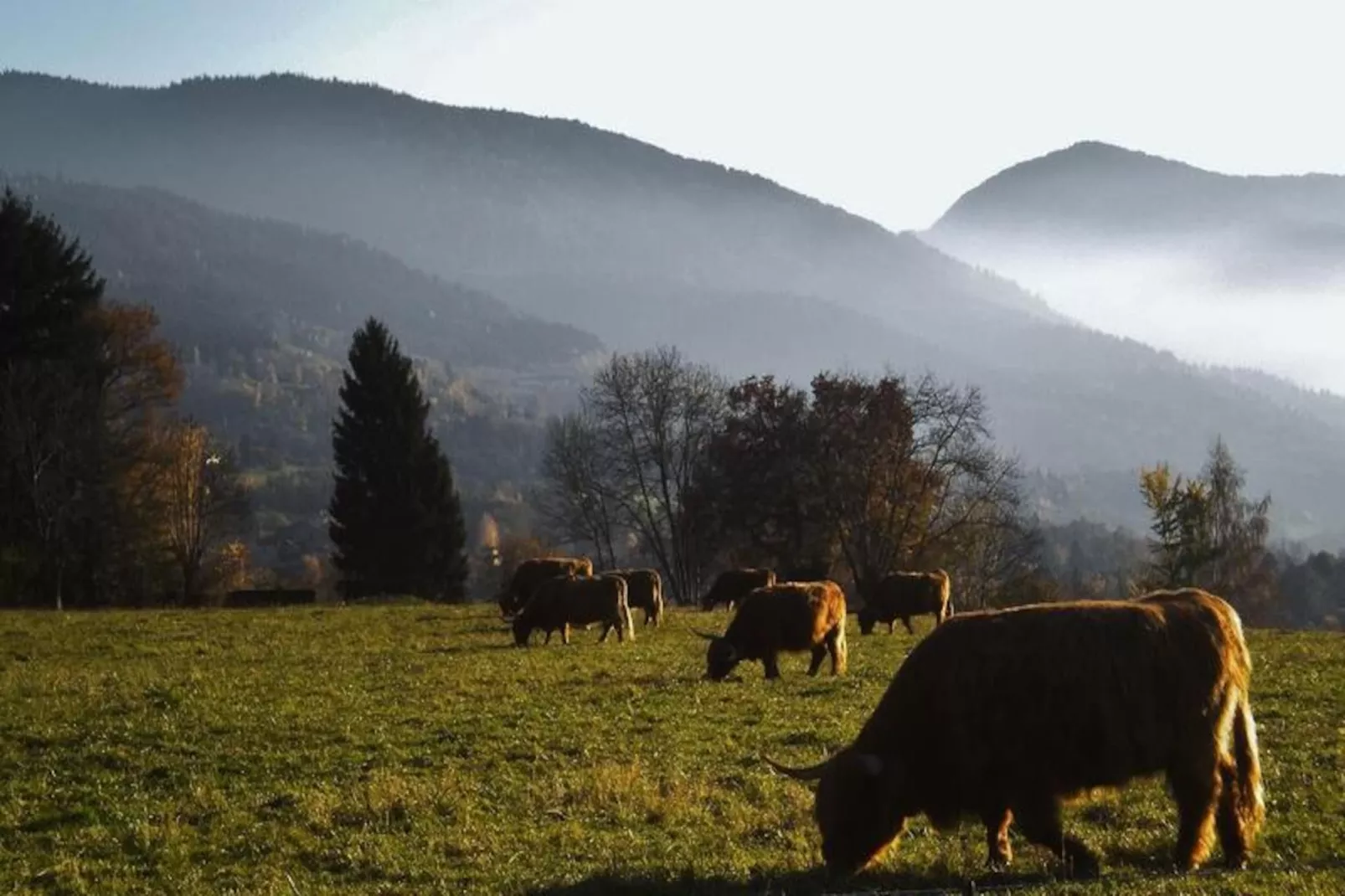 Résidence Les Villages du Bachat-Niet-getagd