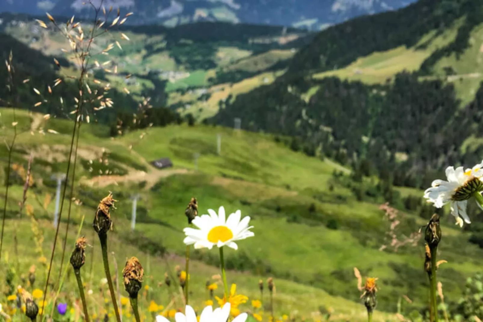 Résidence Les Alpages-Niet-getagd