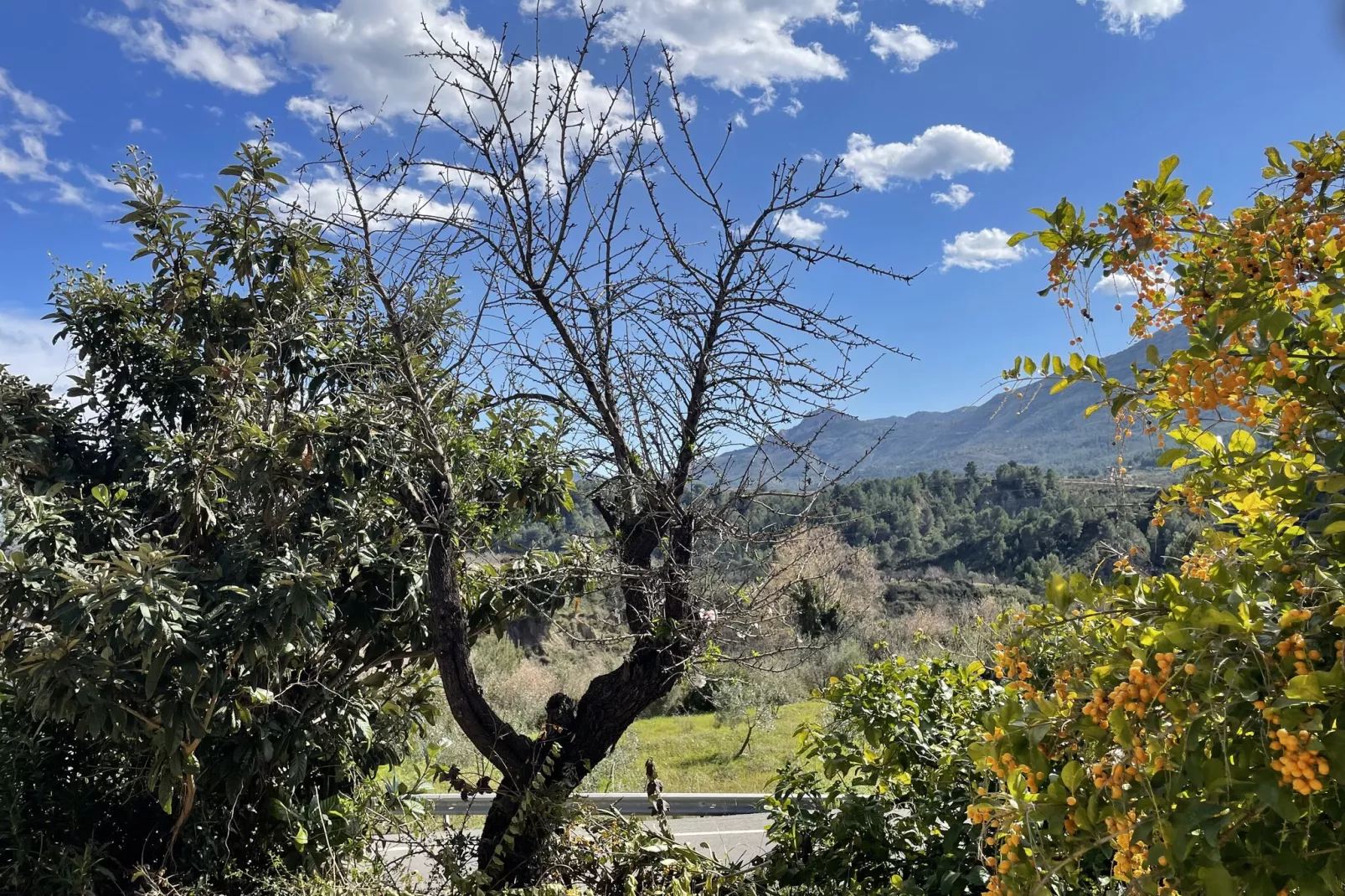 Villa Antonio Alto 4 pax-Gebieden zomer 1km