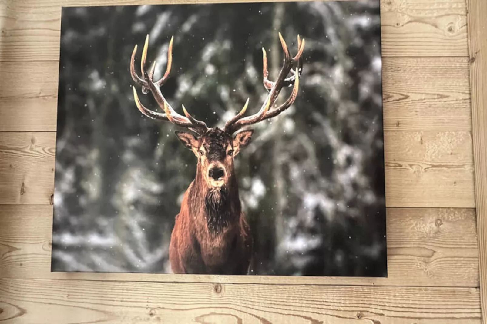 Studio à Les Carroz-d'Arâches-Niet-getagd