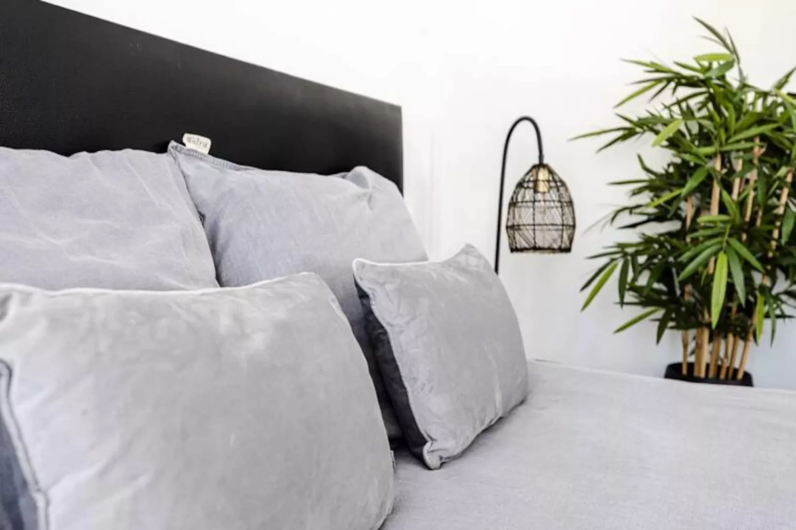 Beach And Dunes Studio-Niet-getagd