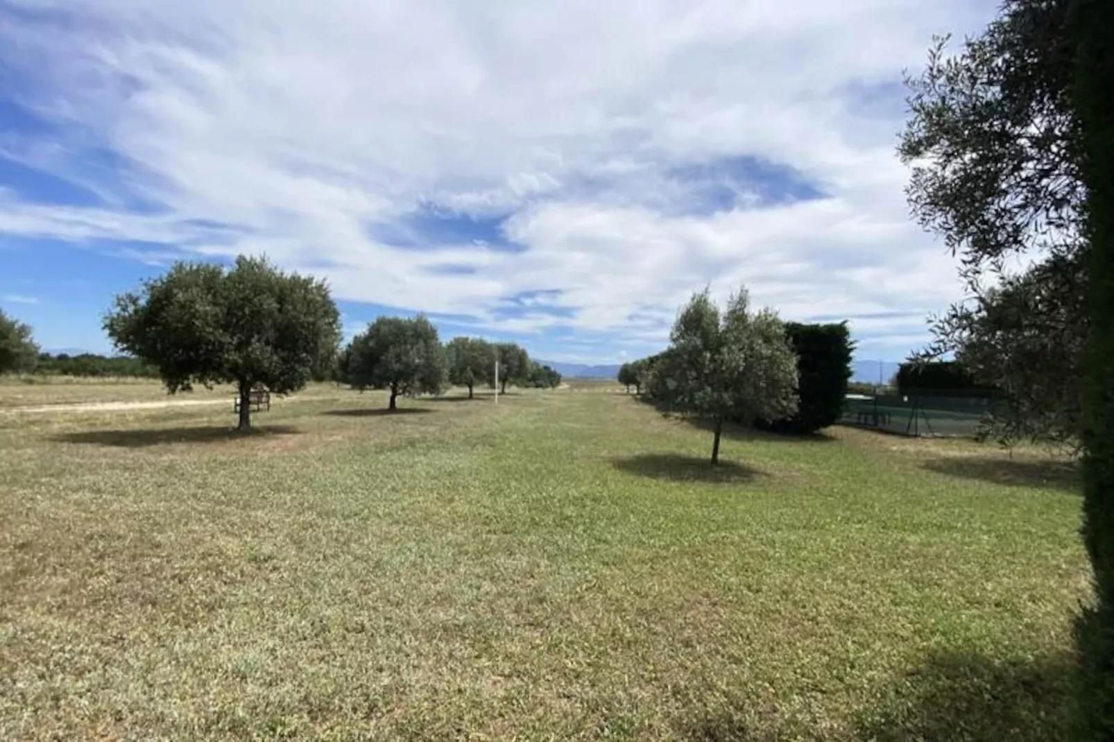 Magnifique Appartement Au C&oelig;ur Des Champs De Lavande - 6 - 7 Personnes-Niet-getagd