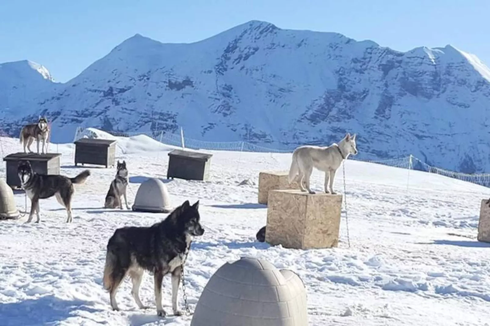 Résidence Rond-point-pistes Ii-Niet-getagd