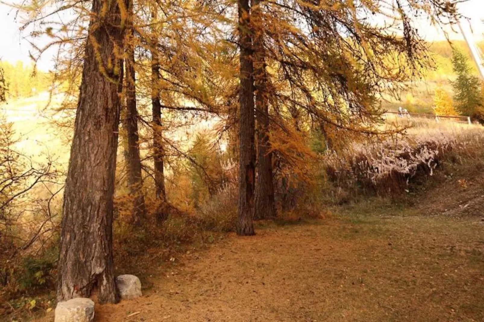 Résidence Le Pouzenc-Niet-getagd