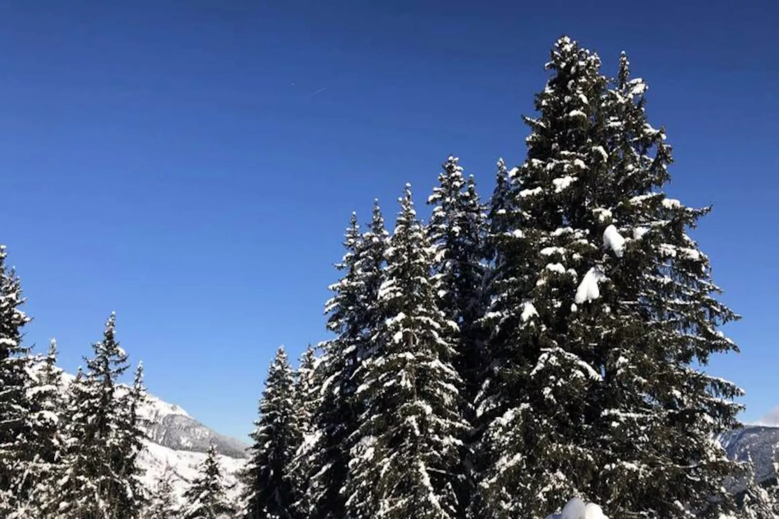 Résidence Camarine-Niet-getagd