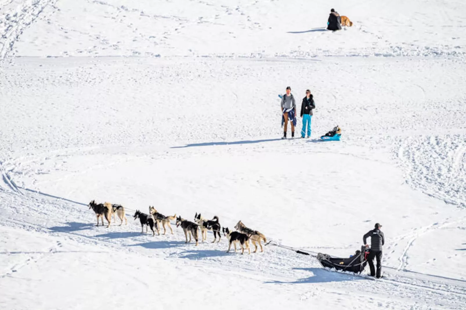 Résidence Armaillis-Niet-getagd