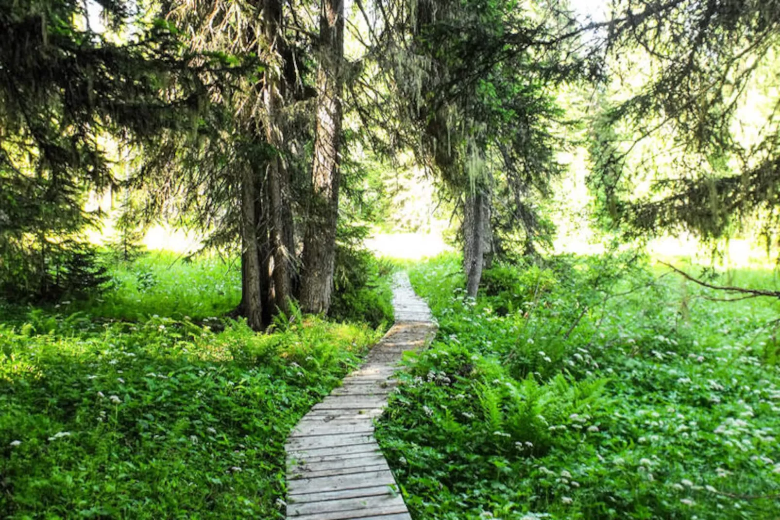 Résidence La Beguette-Niet-getagd