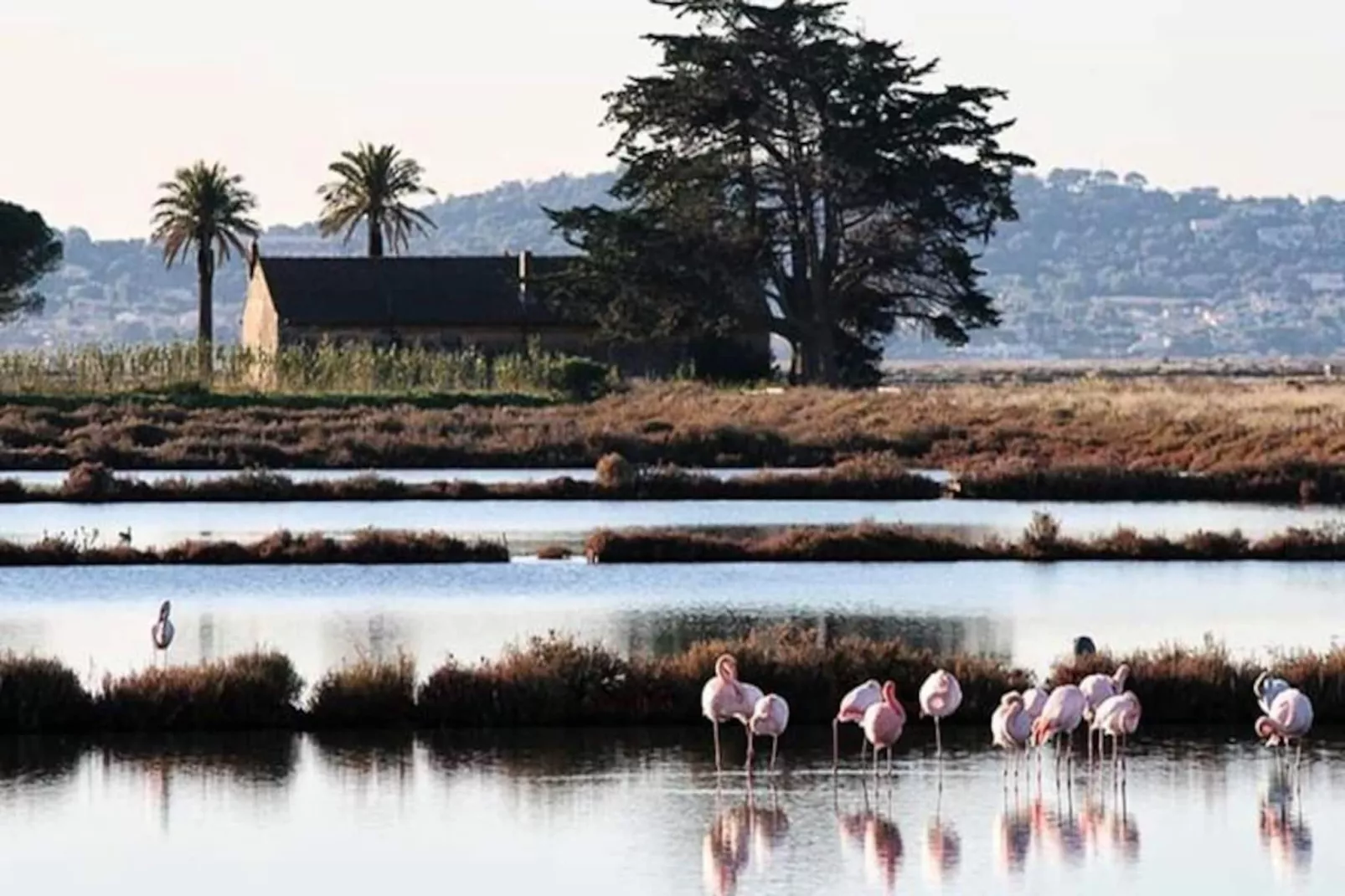 " Le Moorea" - Appartement 4 Personnes-Niet-getagd