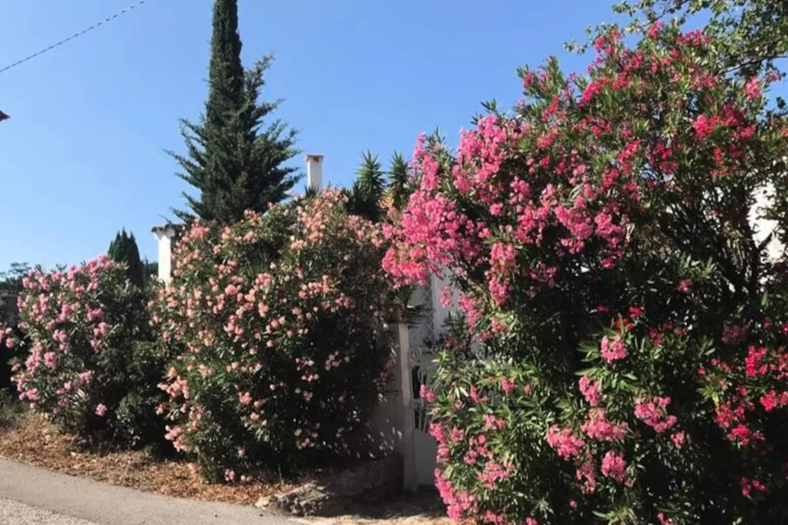 Résidence Havre De Paix Avec Vue Mer 🌴 Terrasse & Jardin Privatif-Niet-getagd