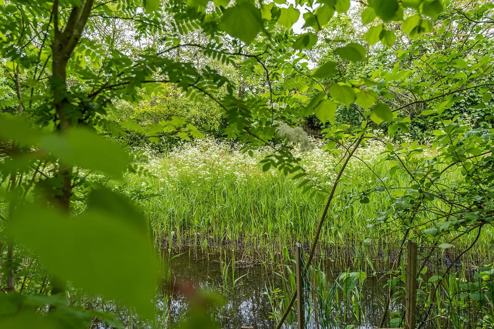 Noorderlicht-Tuinen zomer
