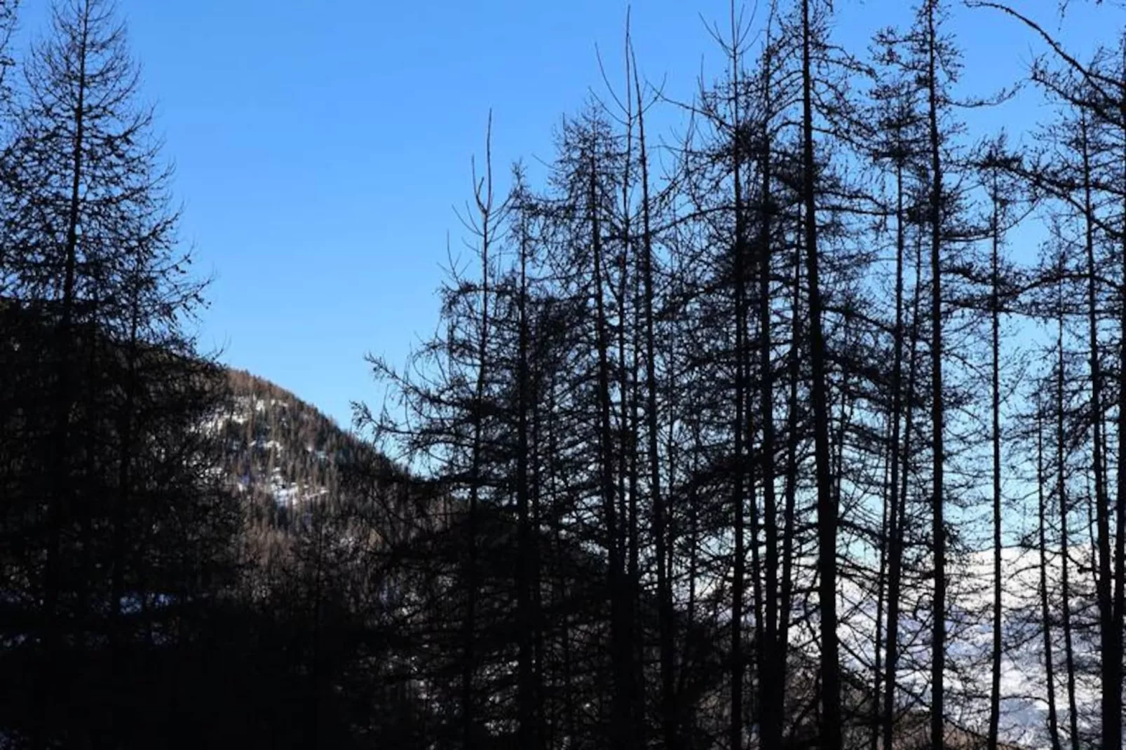 Résidence Le Pouzenc-Niet-getagd